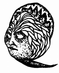 ps_309